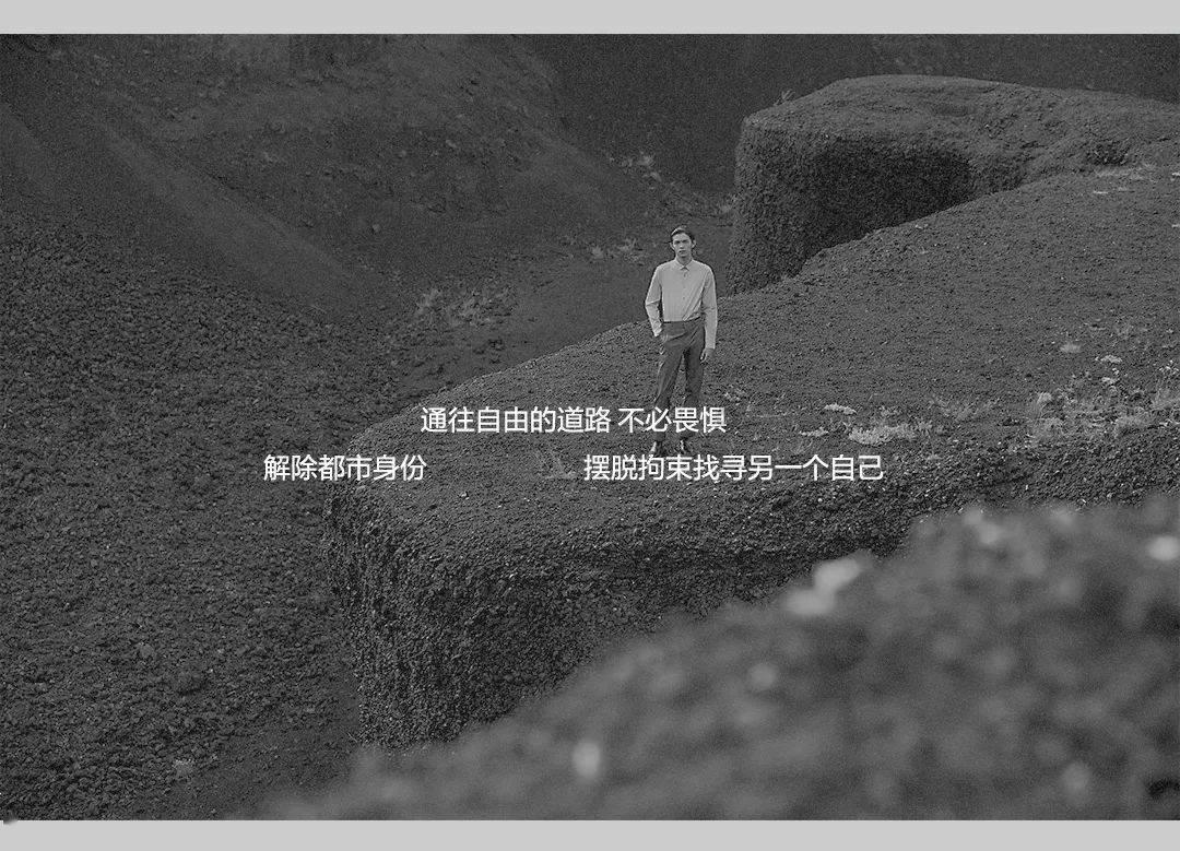 全民烧脑3去广告版